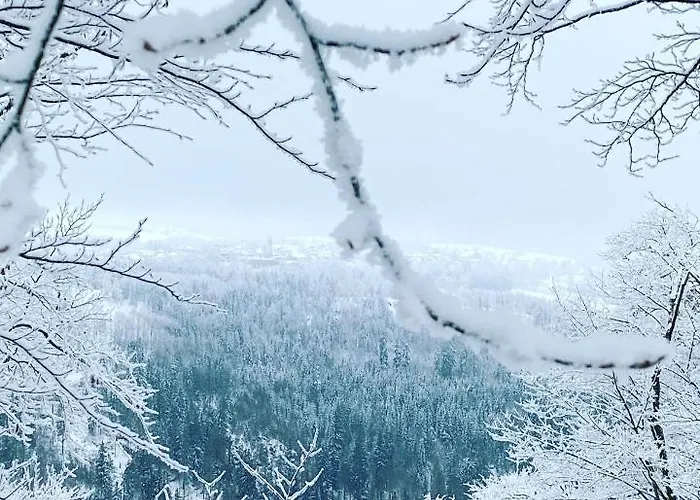 Frankenwald شقة *
