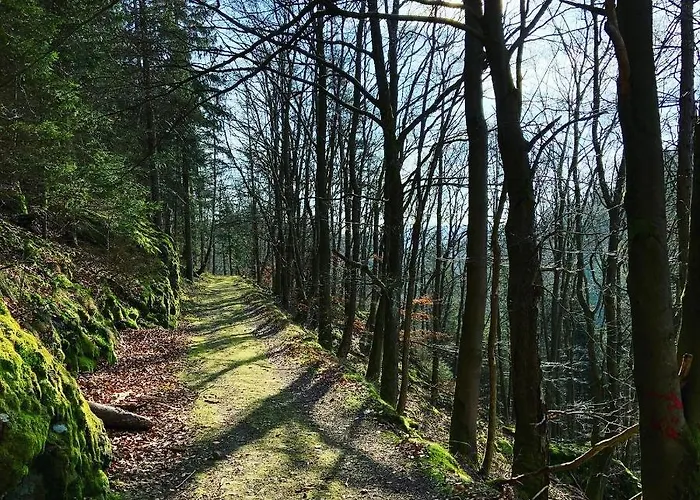 Frankenwald